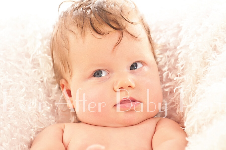 Closeup portrait of four month old girl