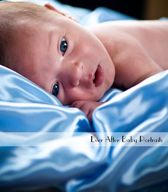 maternity photographer ashburn va newborn photographer